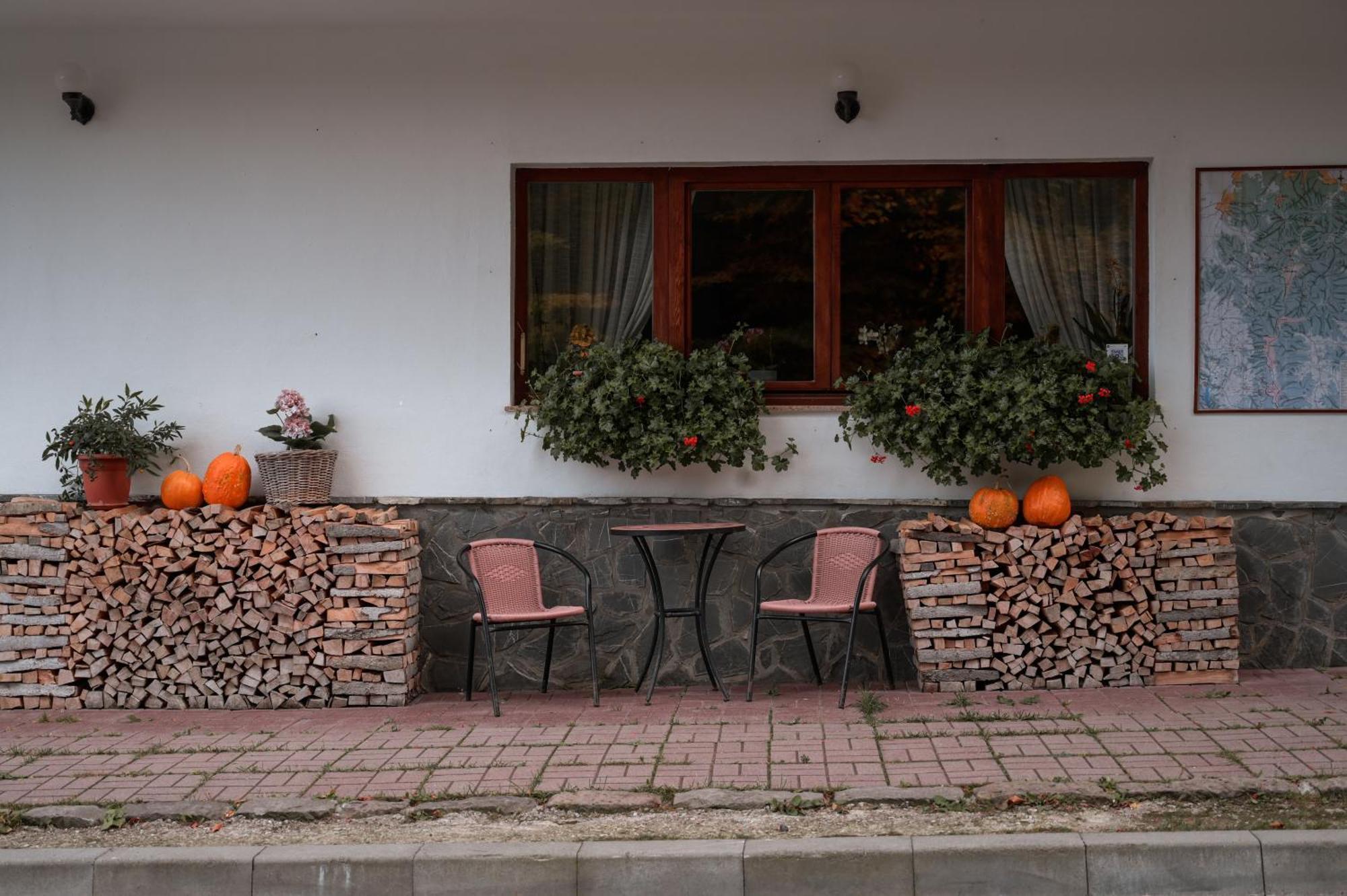 Pensiunea Anotimpuri Predeal Exterior photo